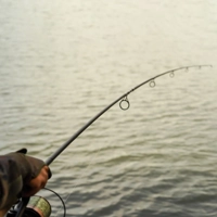 OMC Black Pearl Carp Rods